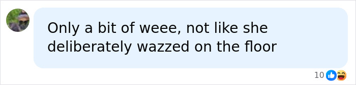 Comment defending a professional weightlifter following her viral bladder accident at a weightlifting competition. Comment defending a professional weightlifter following her viral bladder accident at a weightlifting competition.