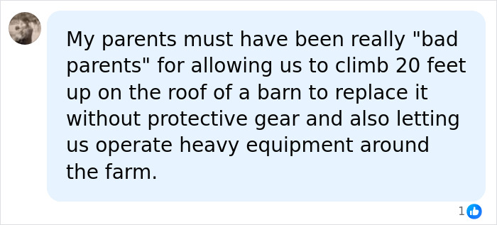 A social media comment discussing parenting styles and safety, related to Child Protective Services and climbing El Capitan
