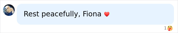A social media post with a heart emoji paying respects to Chad Lowe's daughter Fiona.