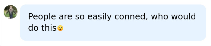 Social media comment about permanent cruise passengers being easily conned