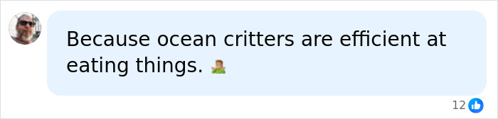 A user comment explaining why Titanic missing human remains were eaten by marine life. A user comment explaining why Titanic missing human remains were eaten by marine life.