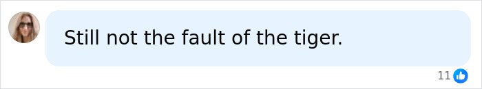 Social media comment stating it's not the fault of the tiger Social media comment stating it's not the fault of the tiger