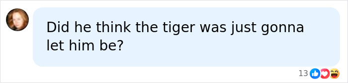 Comment questioning if the tiger would leave the former child actor alone in tiger enclosure incident