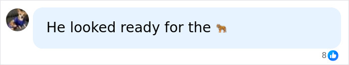Comment saying he looked ready for the tiger