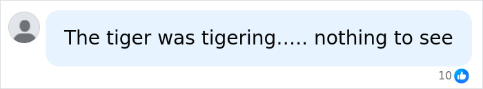 Comment dismissing the tiger's behavior in former child actor enclosure incident