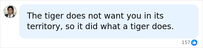 Comment highlighting tiger protecting its territory at wildlife park