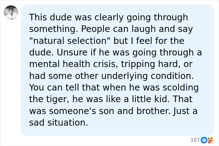 Comment sympathizing with former child actor facing mental health issues in tiger enclosure case