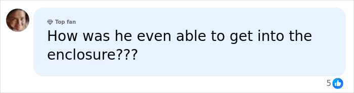 Comment questioning how he entered tiger enclosure