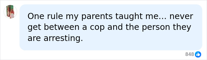 A facebook comment advising never to get between a cop and the person they are arresting.