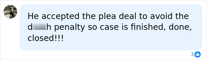 A social media comment discussing a plea deal and case details related to the Bryan Kohberger Idaho tragedy.