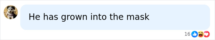 A funny online comment referencing Jim Carrey stating He has grown into the mask A funny online comment referencing Jim Carrey stating He has grown into the mask