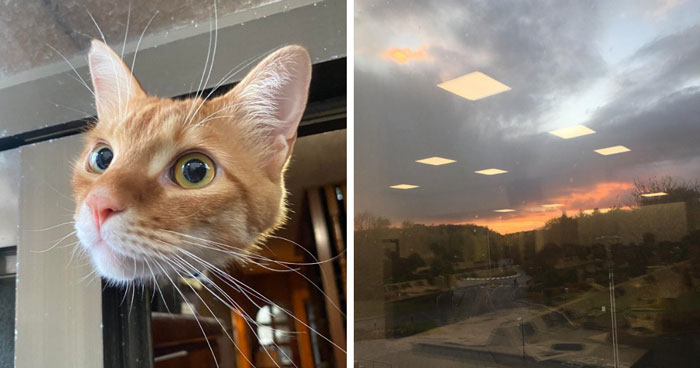 90 Strange Photos That Might Convince You Somebody Forgot To Install Reality’s Latest Software Update