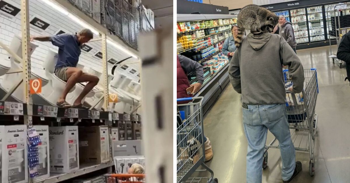 Walmart Is Its Own Little Ecosystem And These 70 Local Residents Are Truly Bizarre Specimens