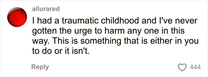 An online comment discussing a traumatic childhood in relation to Christa Pike's history of neglect