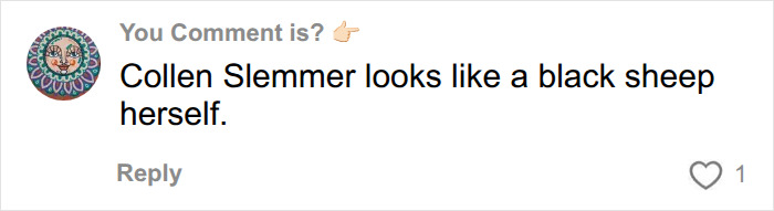 Comment discussing Colleen Slemmer in relation to the Christa Pike history of neglect case.