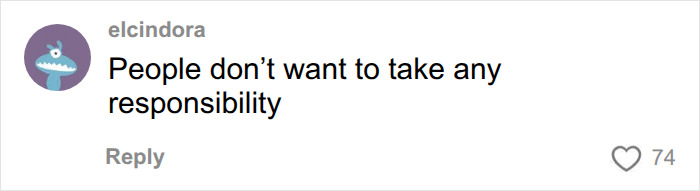 Online comment on Christa Pike case about taking responsibility with 74 likes.