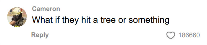 Social media comment asking what if they hit a tree, reacting to pilot's cockpit video. Social media comment asking what if they hit a tree, reacting to pilot's cockpit video.