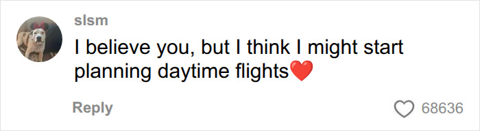 Commenter reacting to nighttime flying pilot's cockpit video by stating they will only plan daytime flights. Commenter reacting to nighttime flying pilot's cockpit video by stating they will only plan daytime flights.