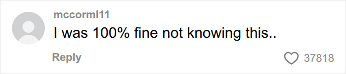 User comment reacting to nighttime flying video saying I was 100 percent fine not knowing this User comment reacting to nighttime flying video saying I was 100 percent fine not knowing this