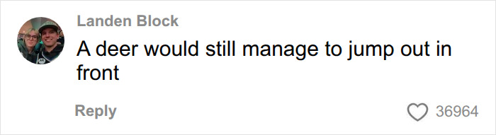 User comment on nighttime flying video joking about a deer jumping out in front of the plane User comment on nighttime flying video joking about a deer jumping out in front of the plane
