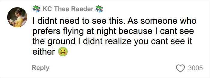 A comment reacting to a pilot cockpit video revealing the dark reality of nighttime flying. A comment reacting to a pilot cockpit video revealing the dark reality of nighttime flying.