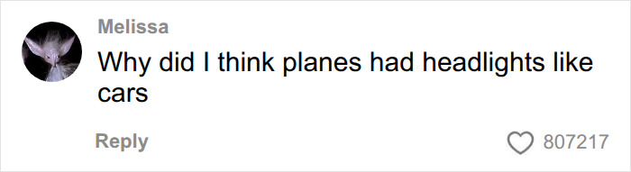 A user comment reacting to the reality of nighttime flying shown in a pilot cockpit video. A user comment reacting to the reality of nighttime flying shown in a pilot cockpit video.