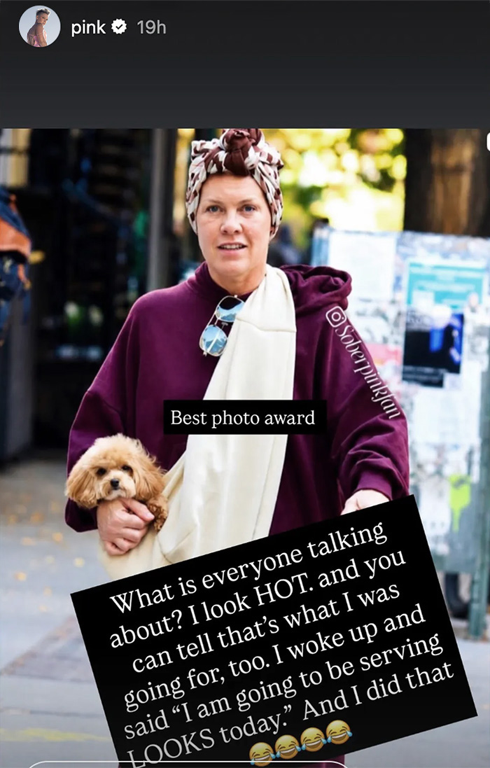 Singer Pink responds to comments on her makeup-free photo while carrying a dog.