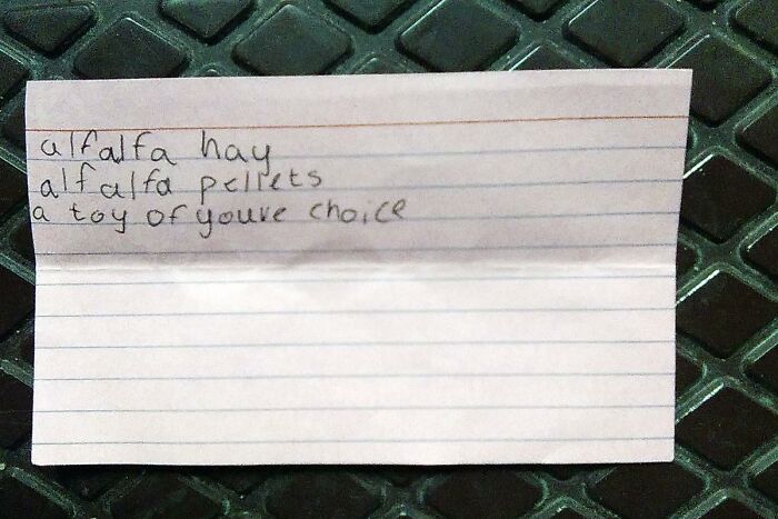 Handwritten note on found paper listing alfalfa hay, pellets, and a toy.