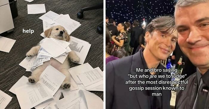 65 Memes For Anyone Who Was Not Properly Warned About Adulthood
