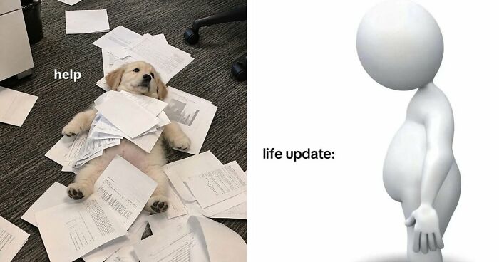 65 Memes For Anyone Who’s One Minor Inconvenience Away From Questioning Everything