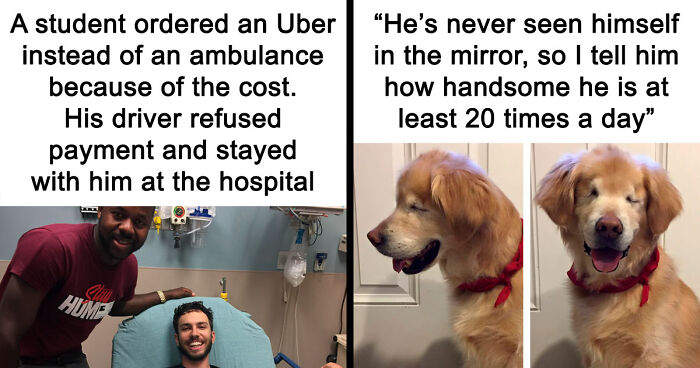 80 Wholesome Memes That Might Make The Internet A Little Less Miserable (New Pics)