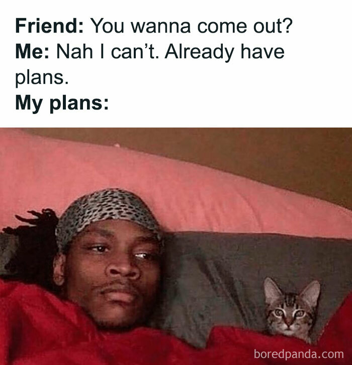 One of many random memes featuring a person in bed with a kitten, staying home