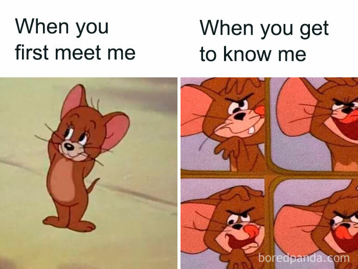 Funny split meme of Jerry the mouse acting shy versus crazy, perfect for random memes collection.