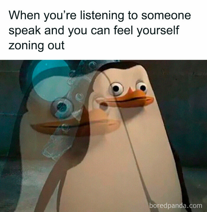 Relatable Madagascar penguin memes representing zoning out during a conversation