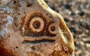 80 Random Objects That Accidentally Look Like They’re Staring Right At You