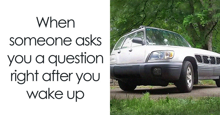 62 Hilarious Memes That Are Here To Save Your Day From Misery And Sadness