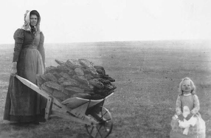 Woman with wheelbarrow full of peat in rare historical photo