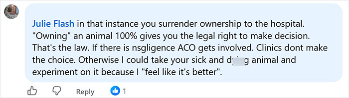 Comment on pet ownership laws in an article about a vet employee taking a dog home Comment on pet ownership laws in an article about a vet employee taking a dog home