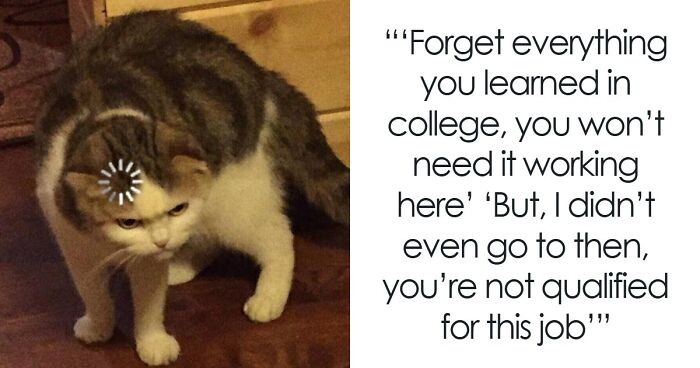 73 Job-Hunting Stories And Memes That Prove Getting Hired Has Become A Full-Time Job