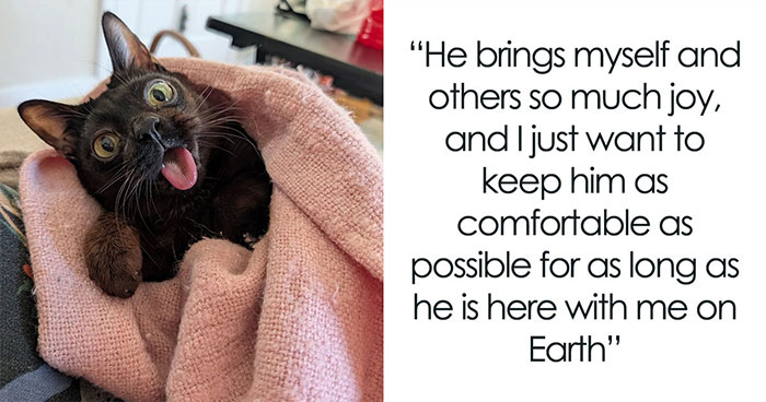 This Tiny Rescue Cat With A Permanently Sticking-Out Tongue Has A Heartwarming Survival Story