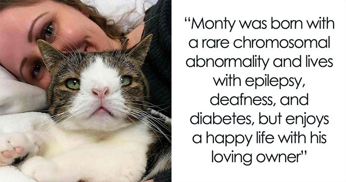 This Page Shared 32 Inspiring Stories Of Cats Who Found Love Despite Their Difficult Beginnings