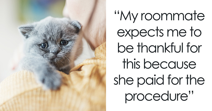 Cat Owner Comes Home To Find Her Pet With Bandaged Paws After Roommate Ignored A Clear “No”