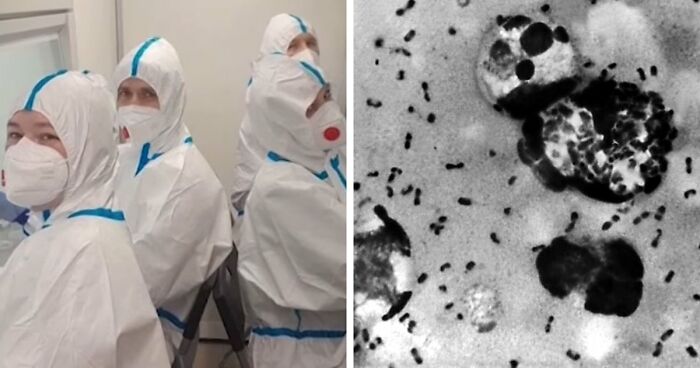As Russian Plague Headlines Spread, Social Media Users Waste No Time Turning Them Into Dark Humor-Fueled Memes