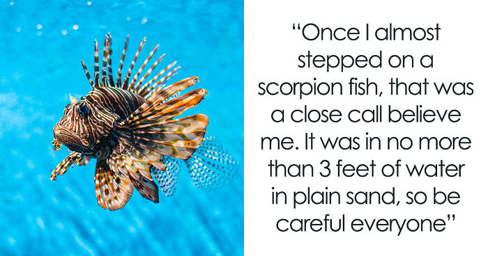 62 People Share The Scariest Few Seconds Of Their Lives, And Explain How They Survived