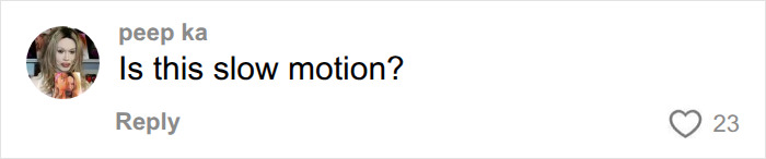 Fan comment asking if Selena Gomez viral clip is in slow motion