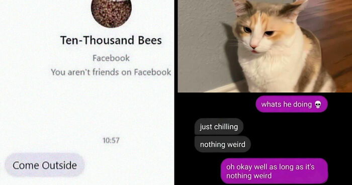 76 Out-Of-Context Pics That Somehow Get Funnier The Less You Know
