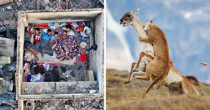 70 Best Photos Of 2026 According To Siena International Photo Awards