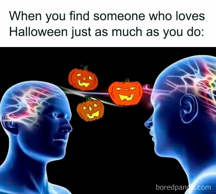 Digital heads connecting with floating pumpkins in a funny spooky season meme about Halloween fans.