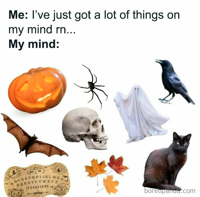 Collage of Halloween icons like jack-o-lantern and skull for spooky season memes