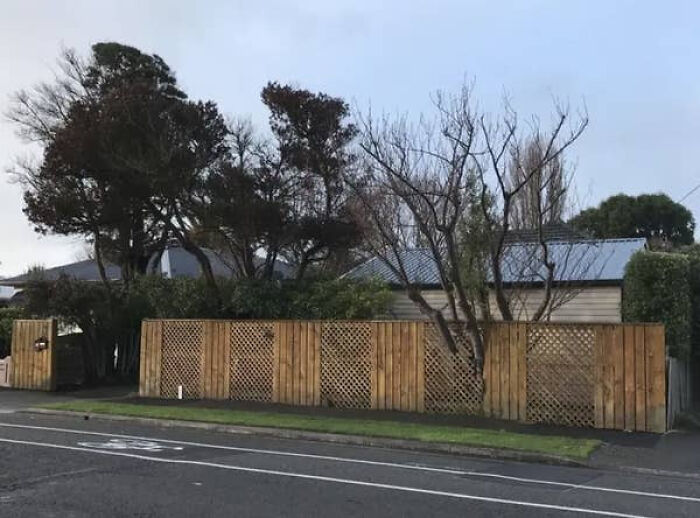 Matrix glitch with a house fence seamlessly blending into tree branches